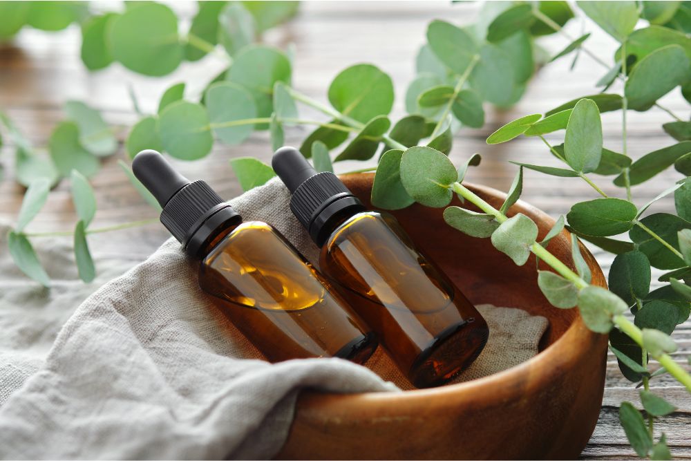 Aceite de eucalipto en un frasquito con hojas frescas de eucalipto - cuidado natural de la piel