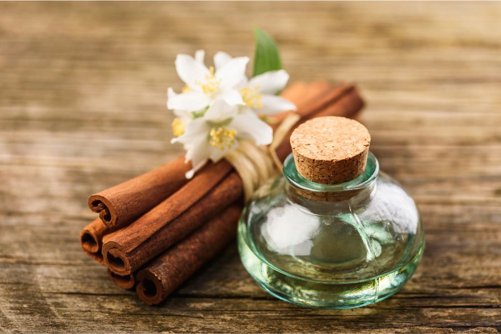 Cosecha manual de plantas aromáticas para la producción de aceites esenciales raros