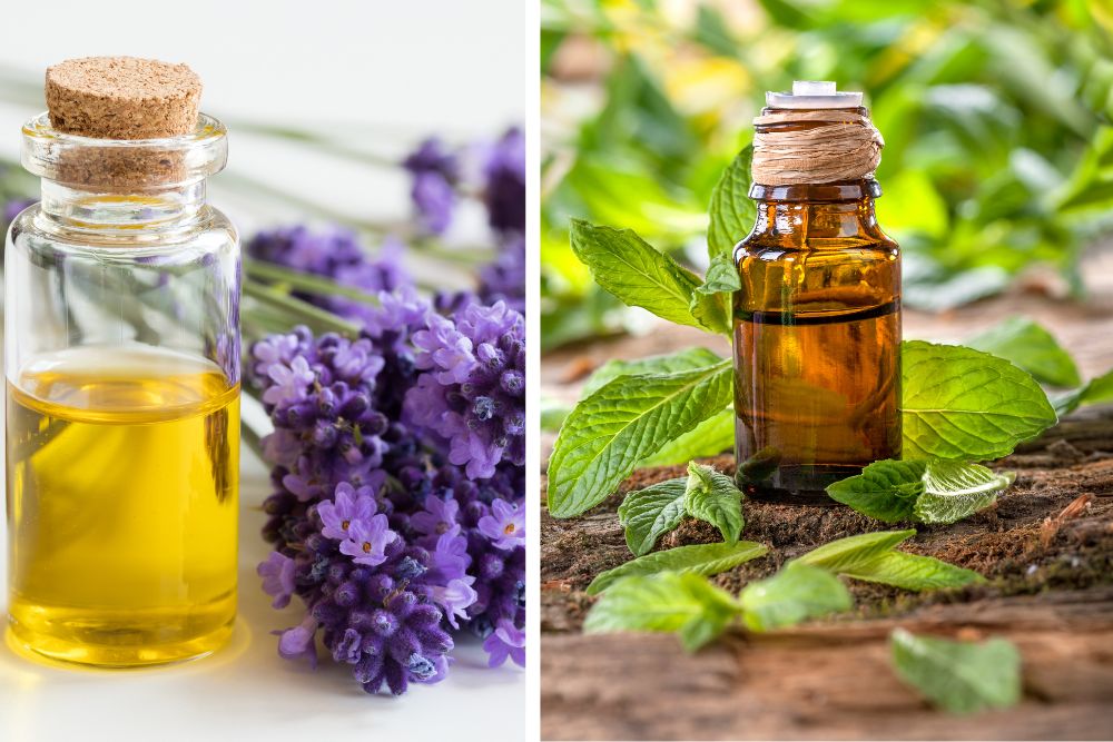 Difusor de aroma con vapores entre hierbas secas y aceites esenciales
