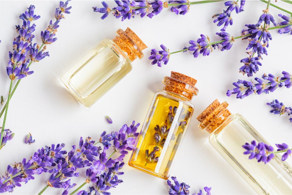 Aceite esencial de lavanda en frasco oscuro con lavanda fresca - aromaterapia natural