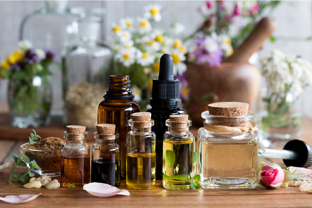 Frasco de aceite esencial entre hierbas frescas: la fuerza de la naturaleza como suave apoyo a la salud y al cuidado diario