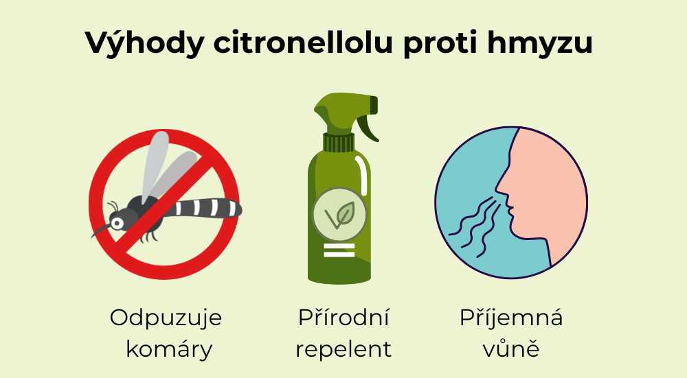 Infografía de las ventajas del citronelol: fresco aroma natural, origen vegetal, uso en productos para exteriores.