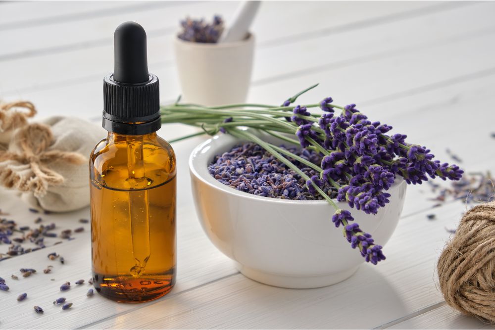 Frasquito de aceite esencial de lavanda con flores violetas de lavanda