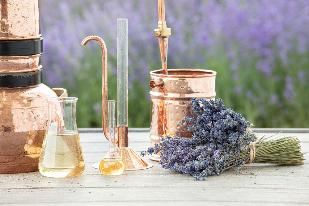 Destilación tradicional de aceites esenciales
