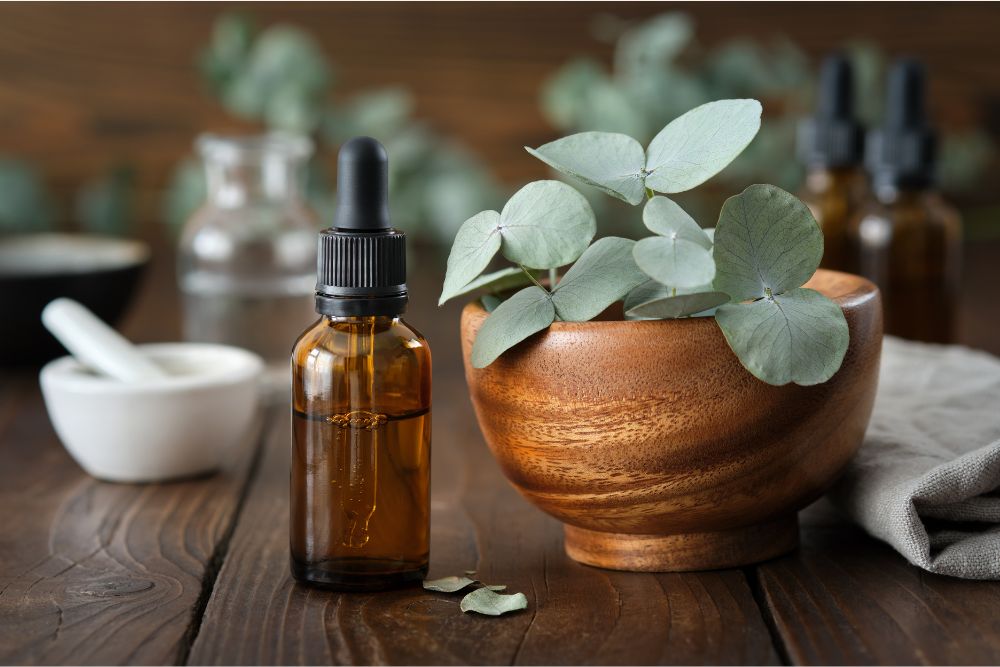 Ramitas de eucalipto con un frasquito de aceite de eucalipto para aromaterapia