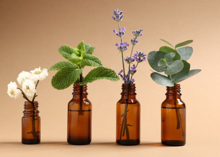 Frascos marrones con distintas hierbas que simbolizan distintos tipos de aromas para elegir un aceite esencial según la personalidad.