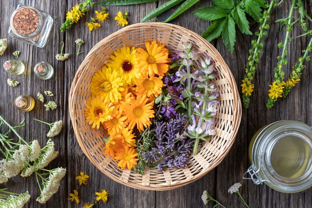 Aparato de destilación para la producción de aceites esenciales con plantas